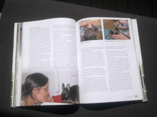 Bilde0584