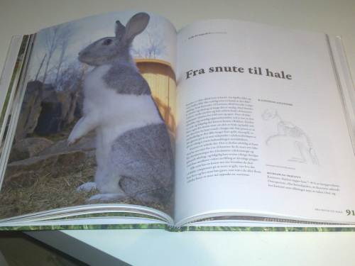 fra snute til hale