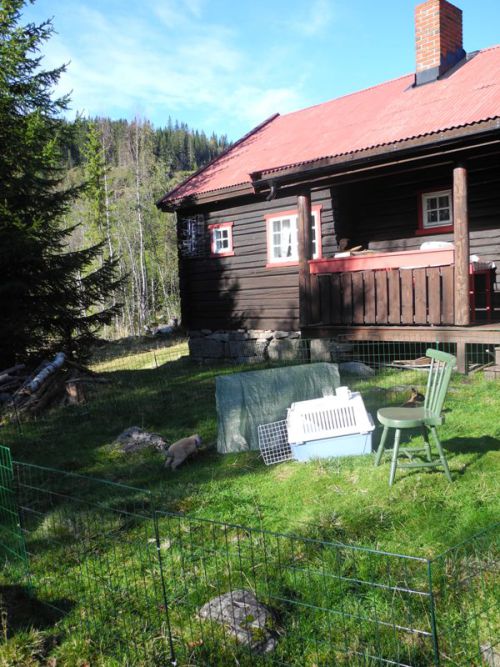 hyttetur høst 017