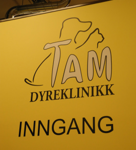 DSCN3576
