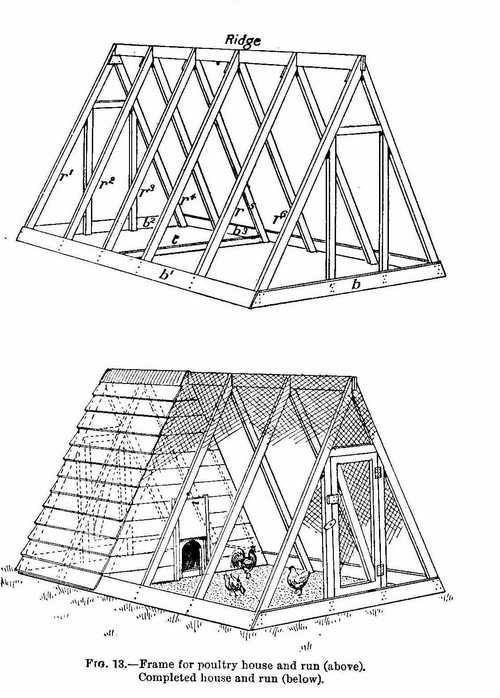 10428723_10152023249161199_129383182_n
