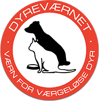 logo_footer